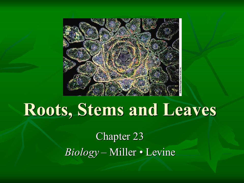 miller and levine biology macaw online book